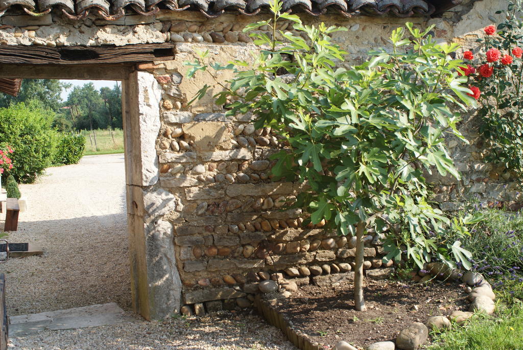Le Moulin De Champagne Bed & Breakfast Viriat Екстериор снимка